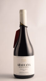 ARAUCANA RIO DE LOS CIERVOS - PINOT NOIR 2025