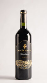 CHAÑARMUYO GRAN VINO TANNAT 2024