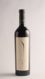 Pulenta Gran Malbec 2021