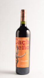 Adentro Cacheño Malbec 2023