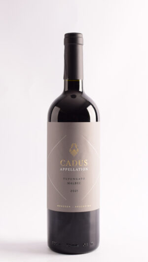 Cadus Appelalation Tupungato 2021