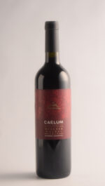 CAELUM MALBEC RESERVA 2019