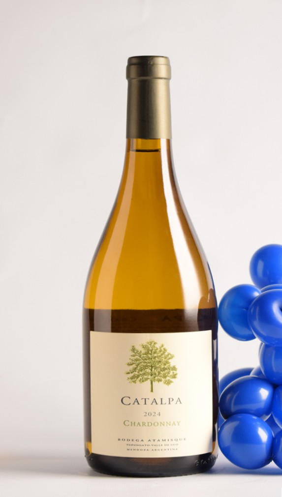 CATALPA CHARDONNAY 2024