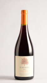 CATALPA PINOT NOIR 2023