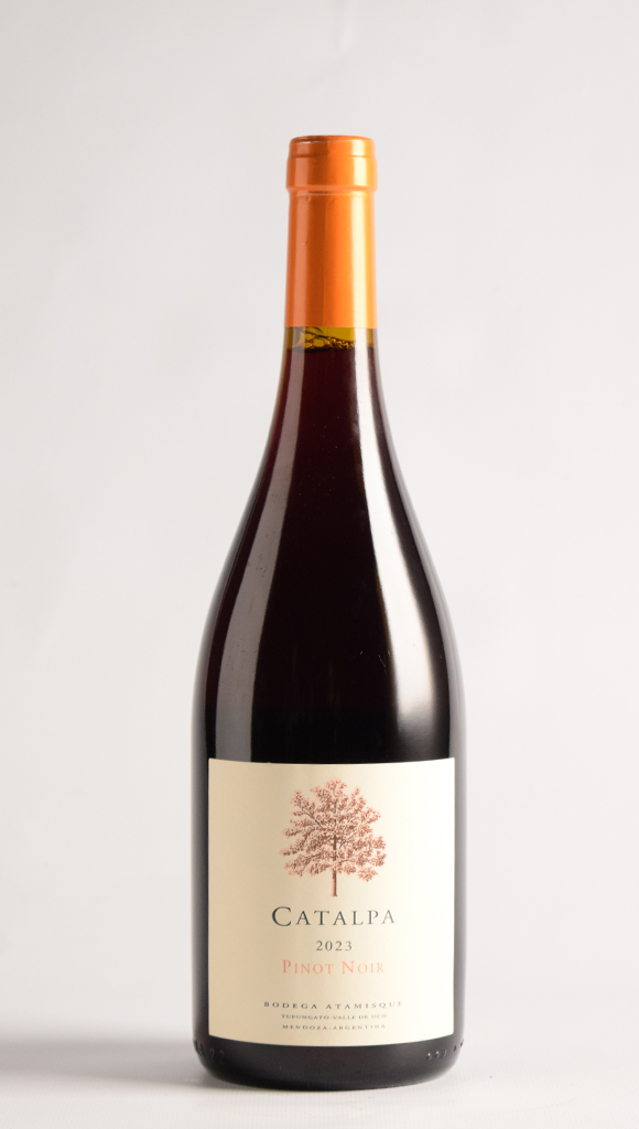 CATALPA PINOT NOIR 2023