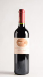 SAN PEDRO DE YACOCHUYA 2024