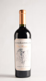 CHAÑARMUYO VIÑA PROVIDENCIA MALBEC 2022
