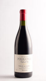 Poligonos Paraje Altamira Malbec 2023