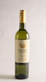 DOMINGO MOLINA TORRONTES 2022