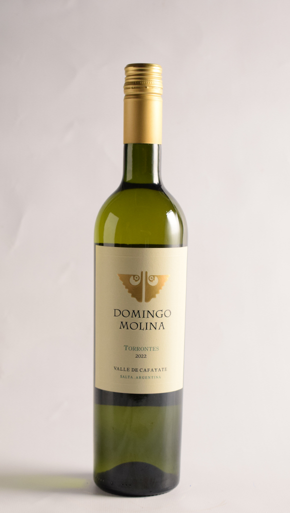 DOMINGO MOLINA TORRONTES 2022