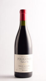 POLIGONOS MALBEC ALTAMIRA 2023