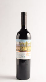 PASO A PASO BONARDA 2023