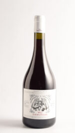 MIL DEMONIOS PINOT NOIR