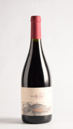 45 RUGIENTES CORTE DE PINOT