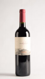 45 RUGIENTES MERLOT 2019