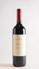 AMBROSIA VIÑA UNICA 2023