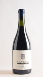 CANTINA NEBBIOLO