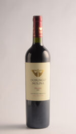DOMINGO MOLINA MALBEC 2020