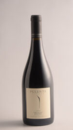 PULENTA ESTATE MALBEC ORGANICO 2022